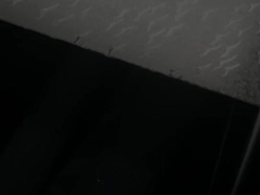 folhas do poliestireno