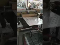 Painéis de Teto em PVC com Acabamento Moderno para Decoração de Interiores Multifuncional