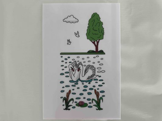 Folhas de poliestireno branco adaptadas para o México com impressão de cor Decorada Lámina De Poliestireno Usadas em embalagens e isolamento